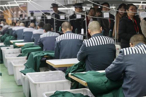 监狱罪犯爆料视频大全,罪犯爆料视频大全深度解析